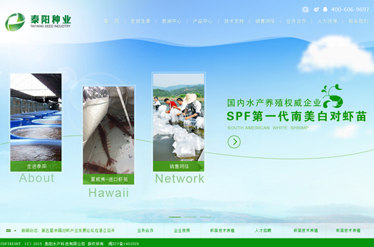 泰陽南白美蝦產品展示型網站建設公司